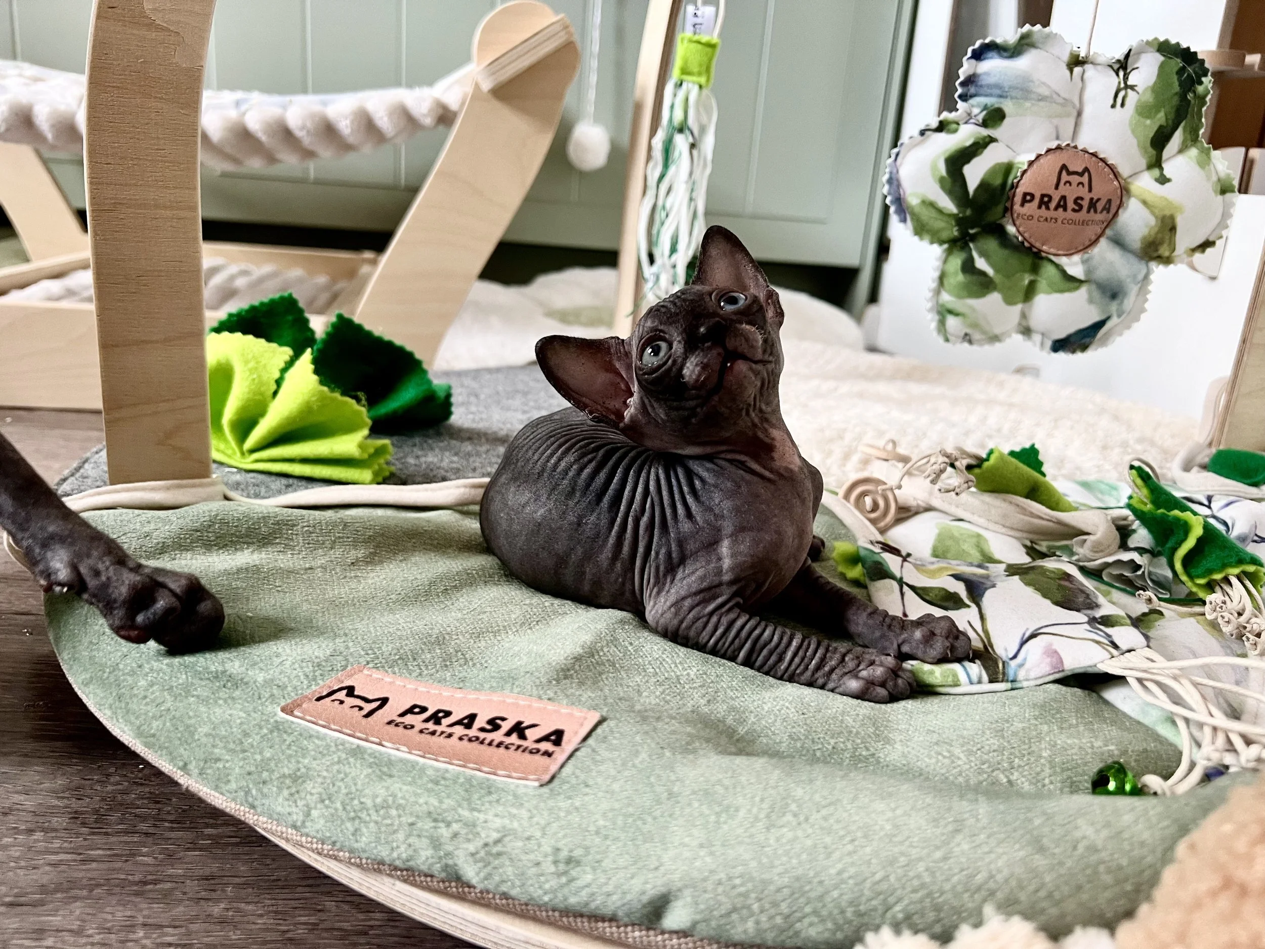 DBE-CEL Sphynx cat figurine with a black, wrinkled body lying on a textured green mat with a 'Praska' label, surrounded by various fabrics and a cat tree in the background.