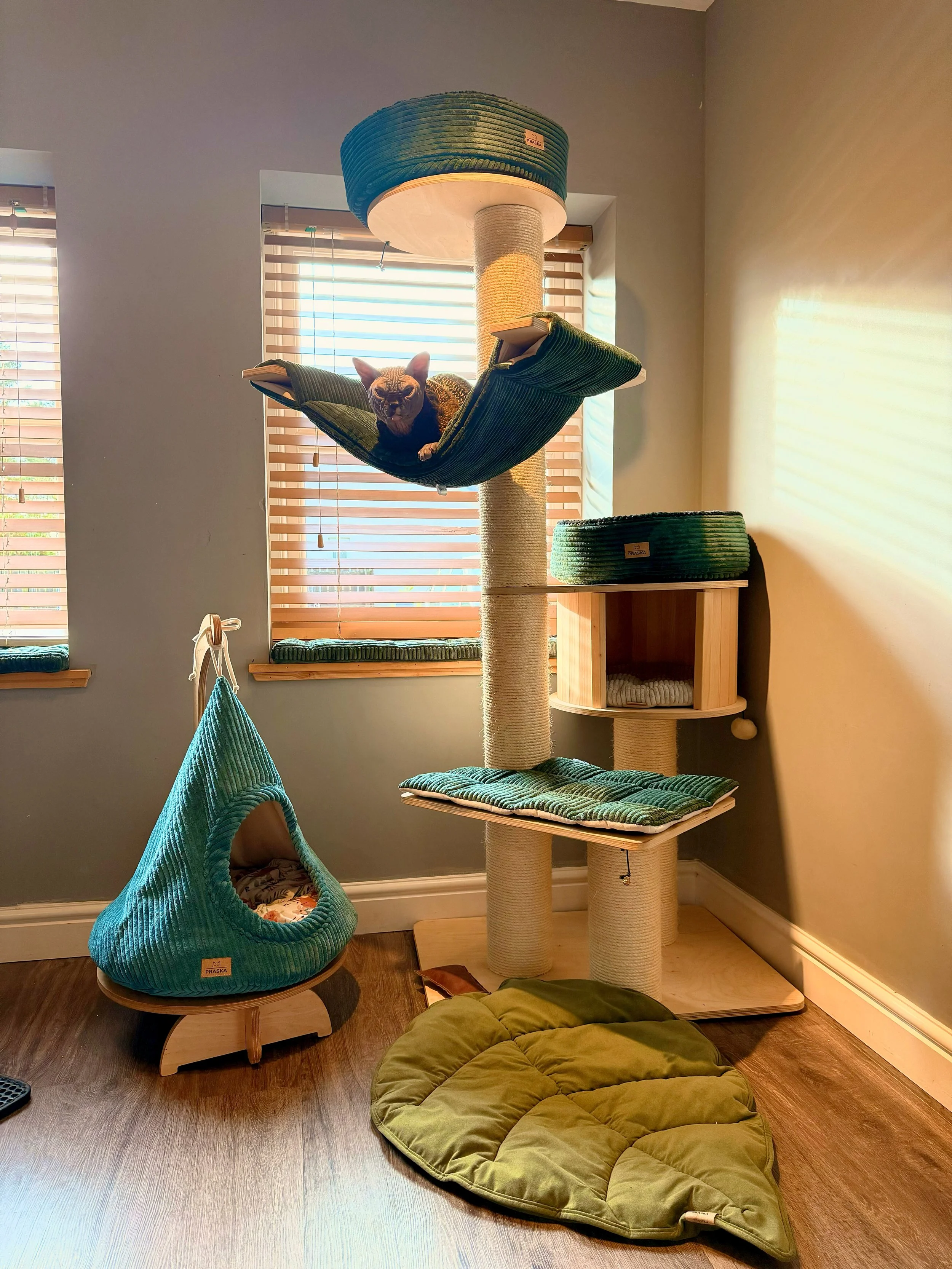 A cat lounging on a green and beige cat tree with multiple platforms and sisal-wrapped posts, located in a sunny living space with wooden floors, a round green pet bed, and a hanging teal pet nook.