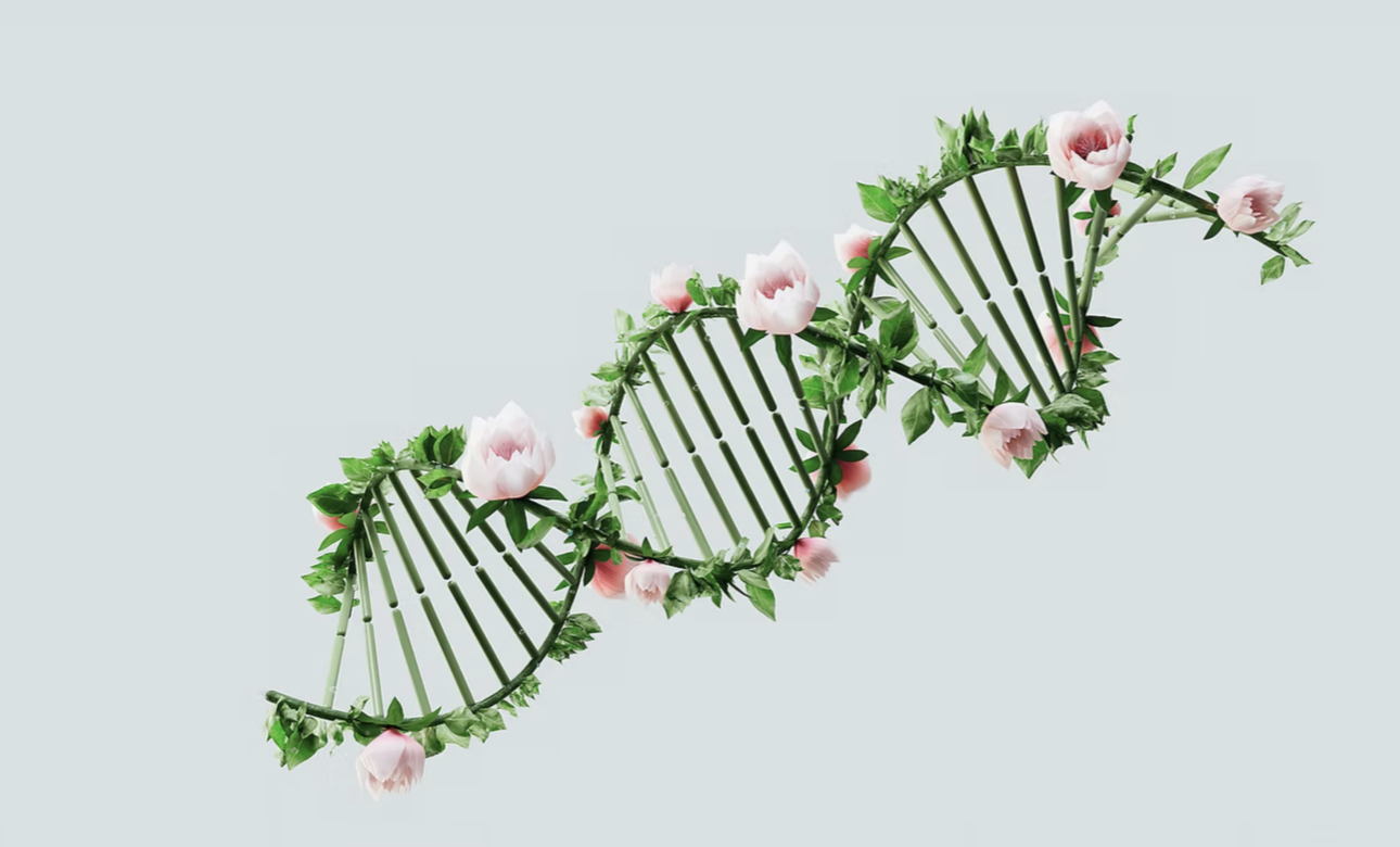 DNA double helix illustration