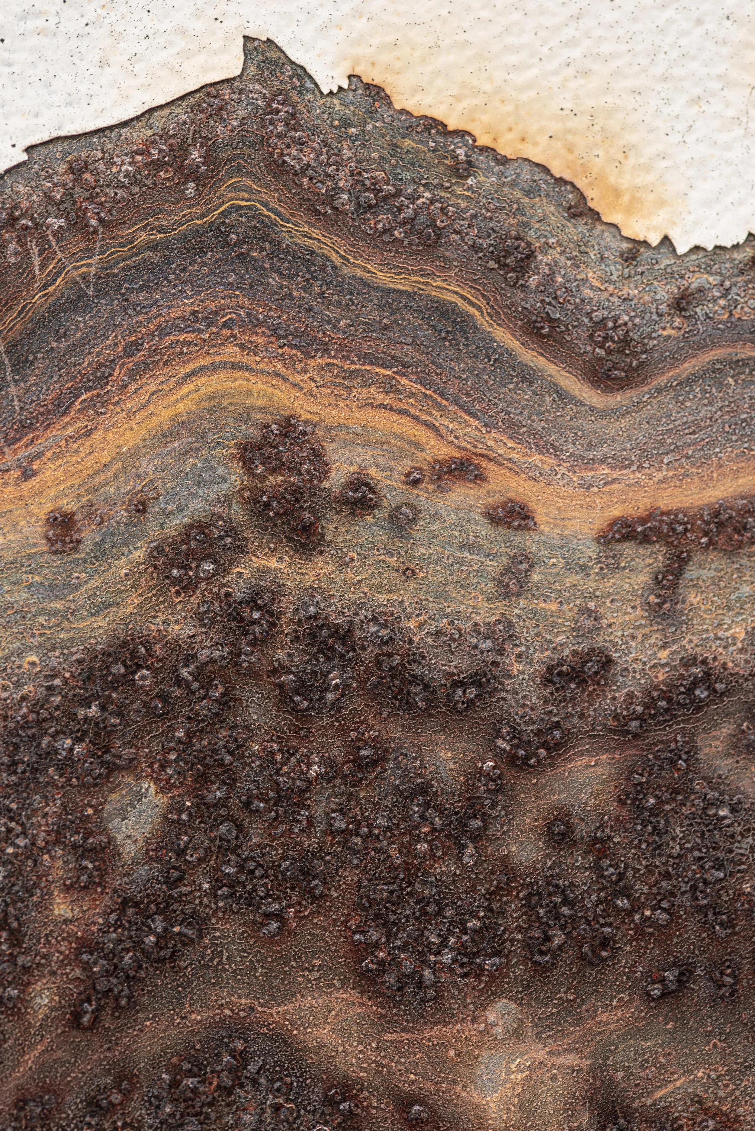 The Strategic Landscape of Rare Earth Elements: Lessons from Mountain Pass and Ngualla