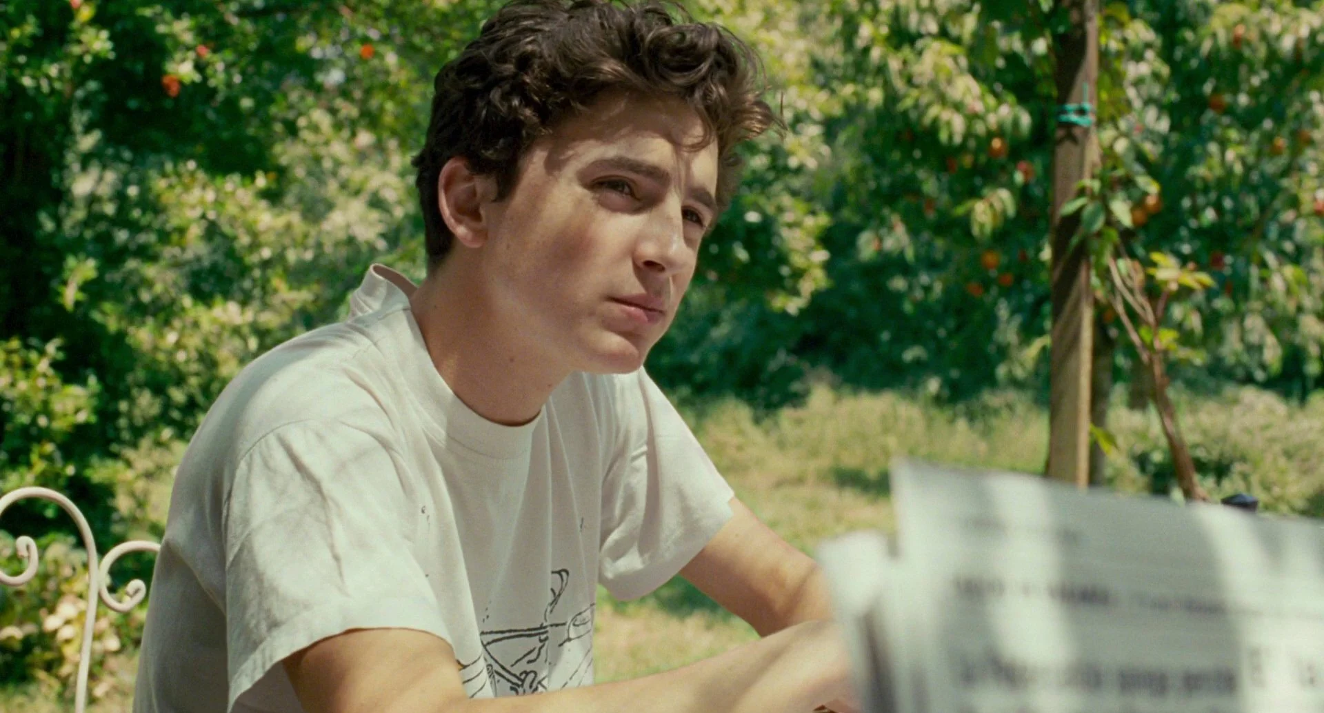 Awakening statues: desire in Call Me by Your Name