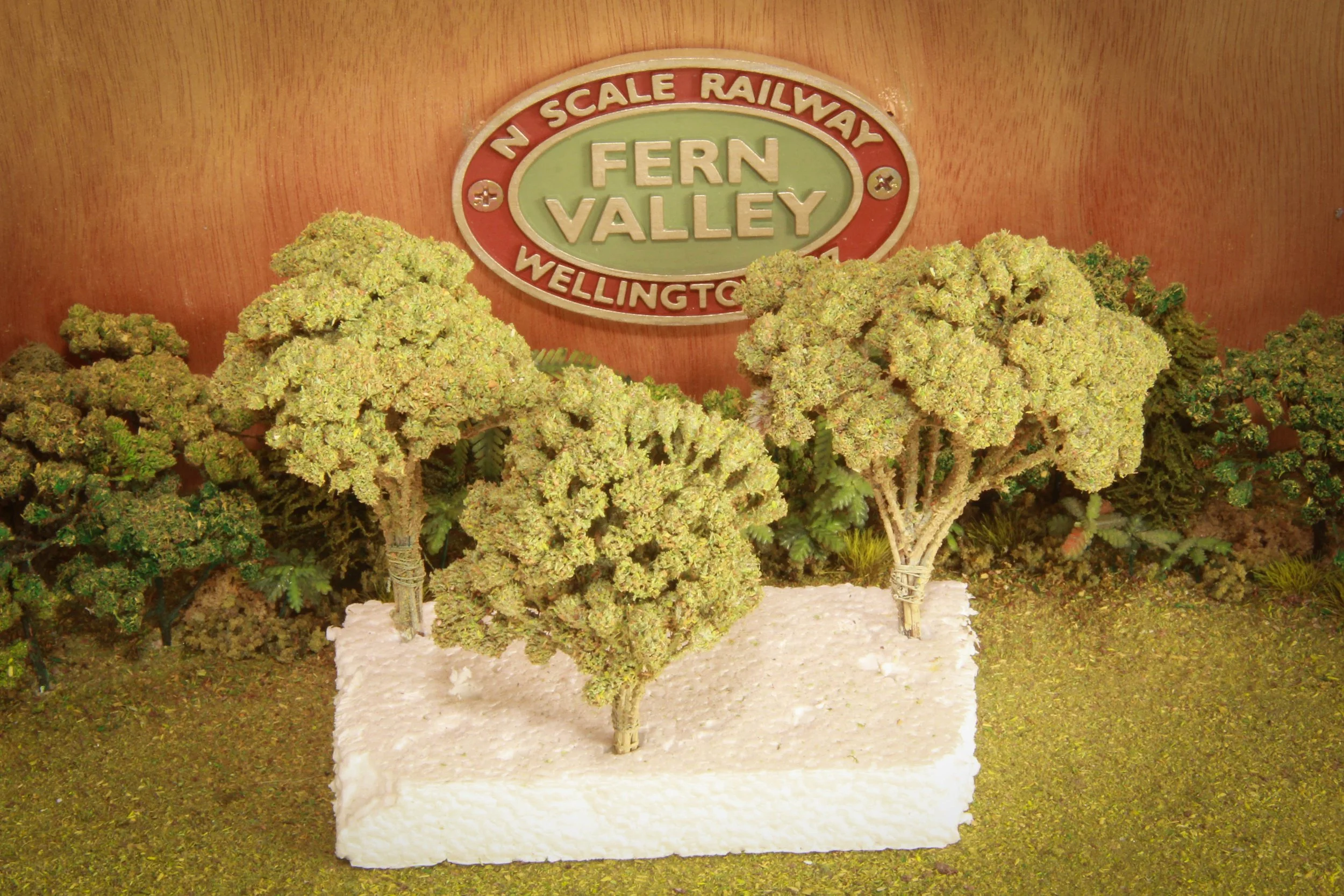 Fern Valley Yarrow Trees