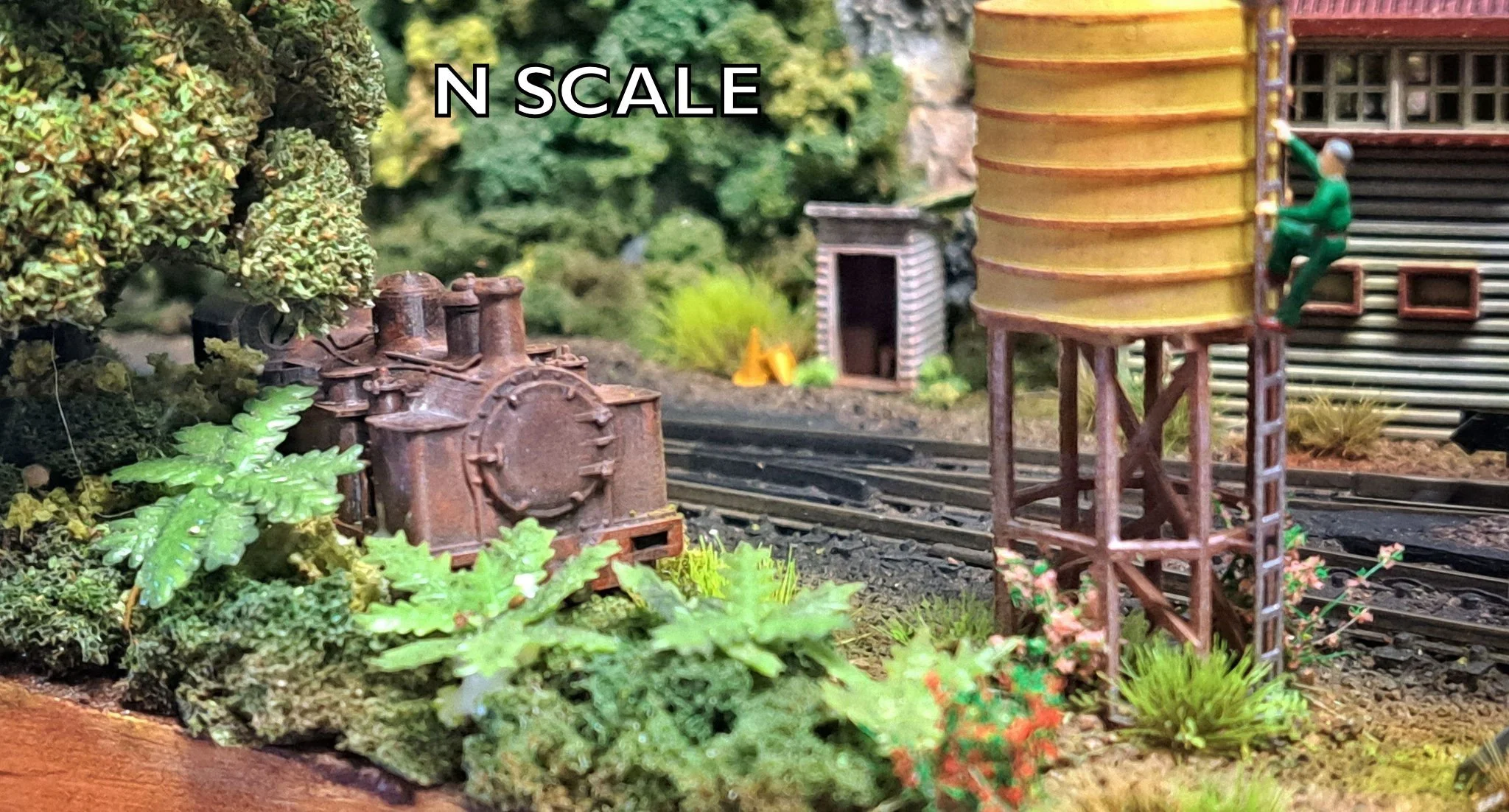 Fell FV label.jpg