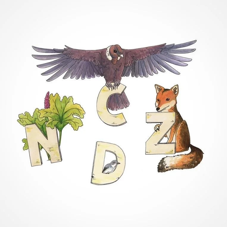 ABC - Parque Nacional Nahuel Huapi