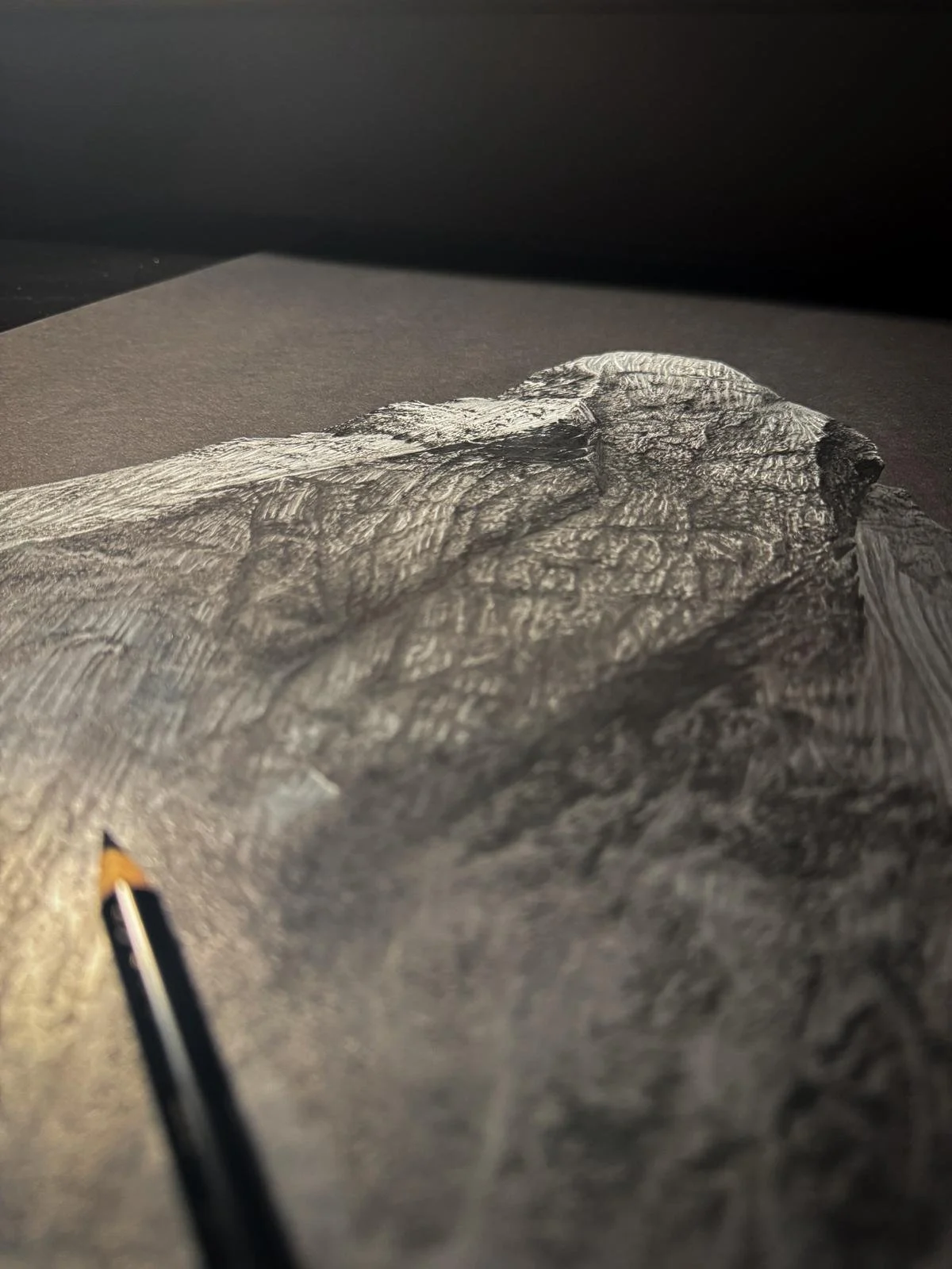 Detailansicht eines handgezeichneten Bergportraits von Alexander Brückler