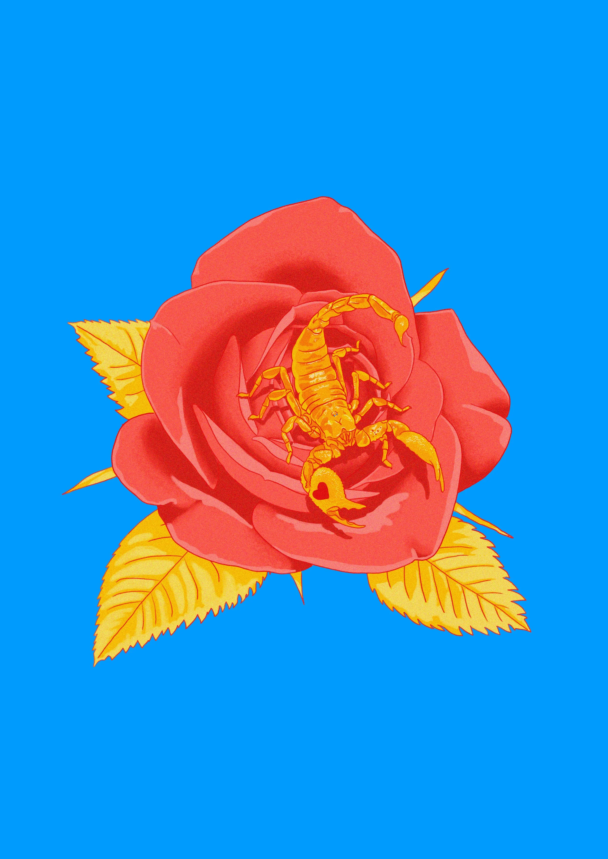 A red rose with yellow leaves and a yellow scorpion inside its petals against a blue background.