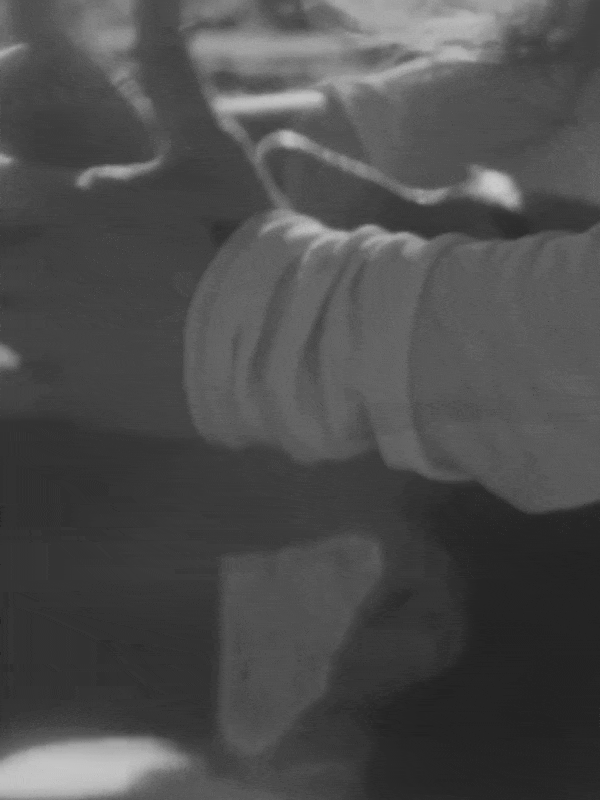 ayune-clip-01.gif