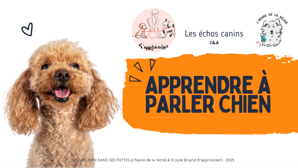 Apprendre à parler chien