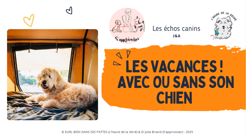 Partir en vacances avec son chien