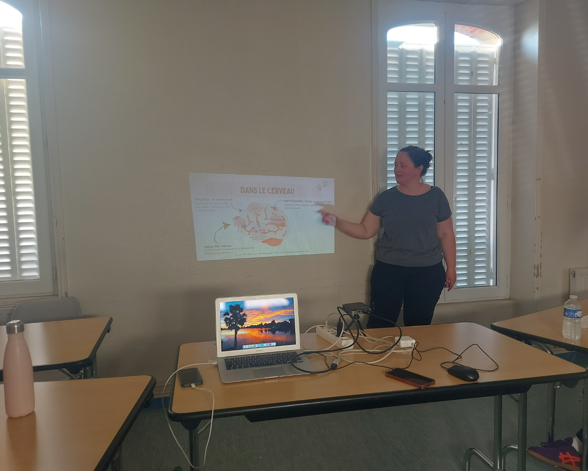 Webinaire sur les émotions du chien