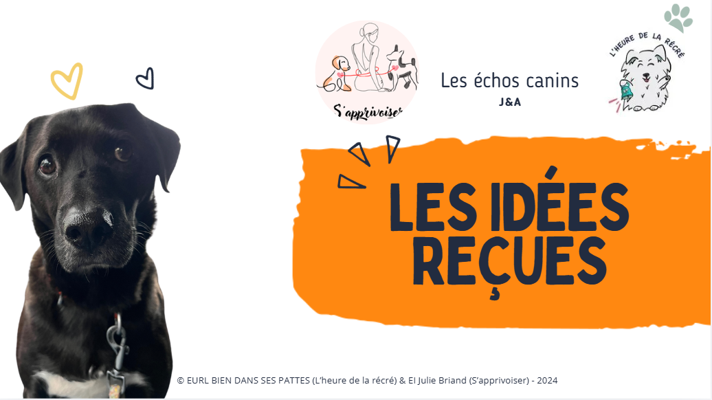 Les idées reçues !