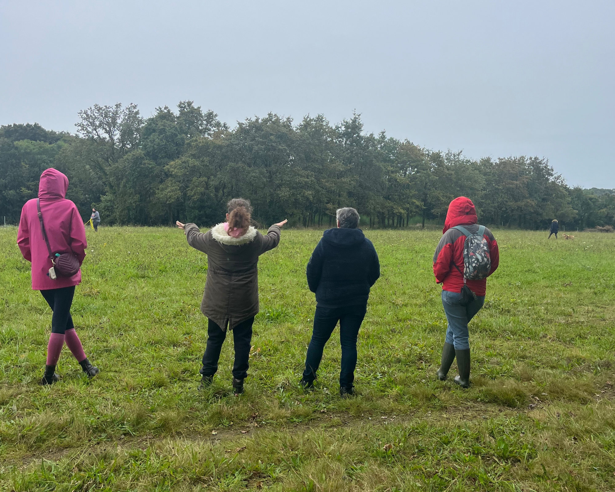 Stage lecture canine à Nantes