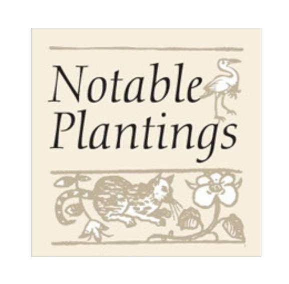 Book cover titled "Notable Plantings" with illustrations of a heron, a hedgehog, and a flower in neutral tones.