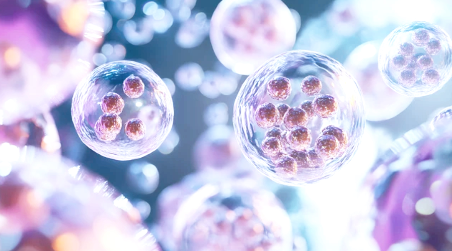 Cell image at a molecular level