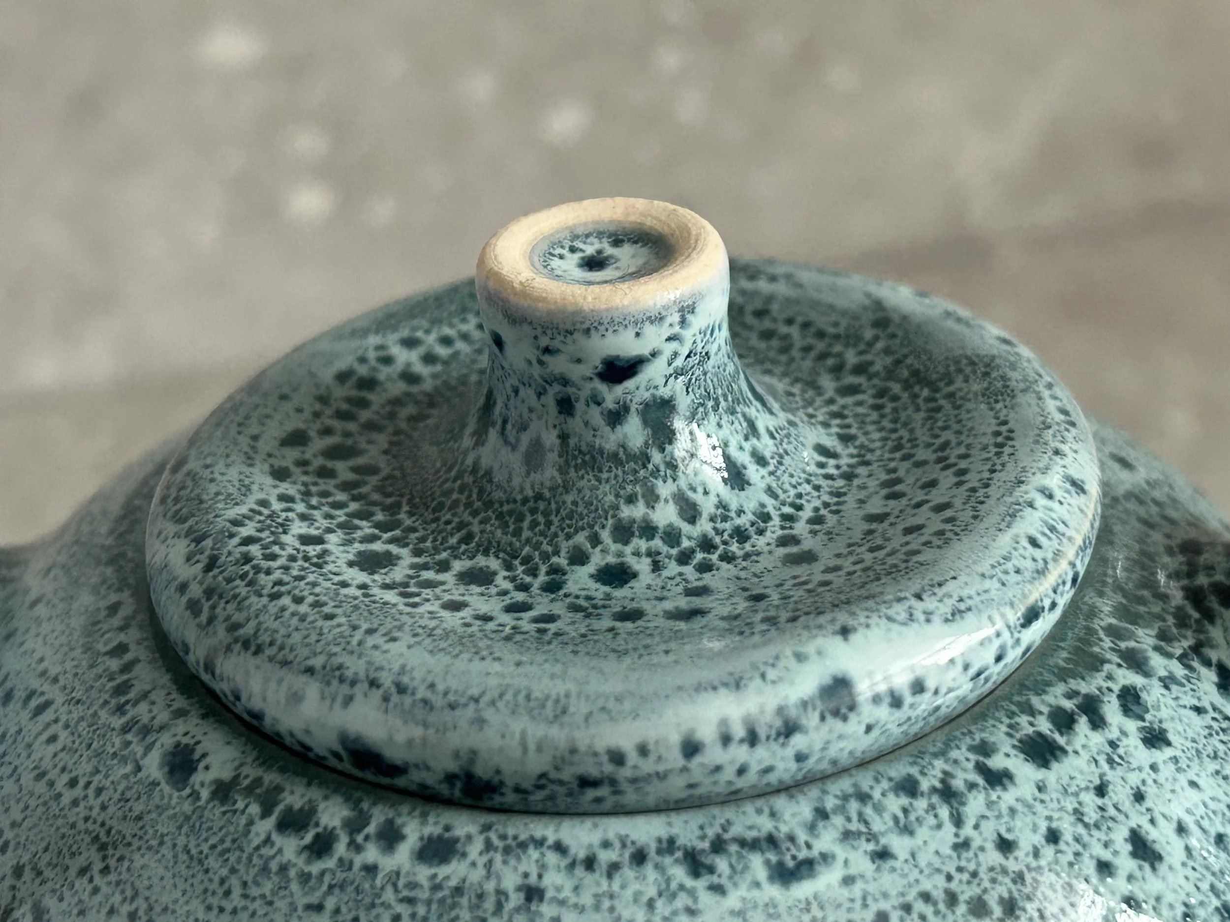 Teapot #2 Rainforest & Snow.jpeg