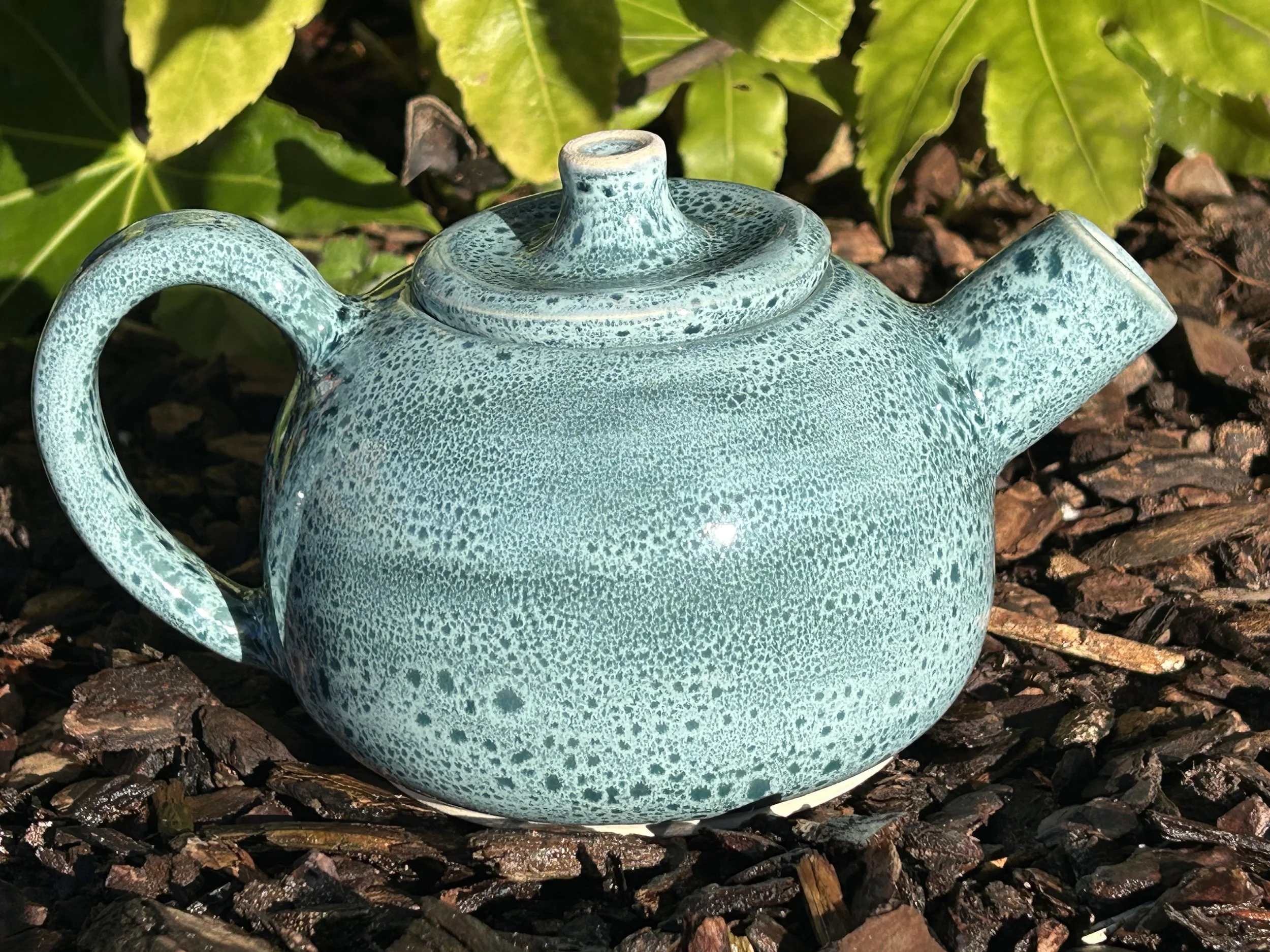 Teapot #2 Rainforest & Snow.jpeg