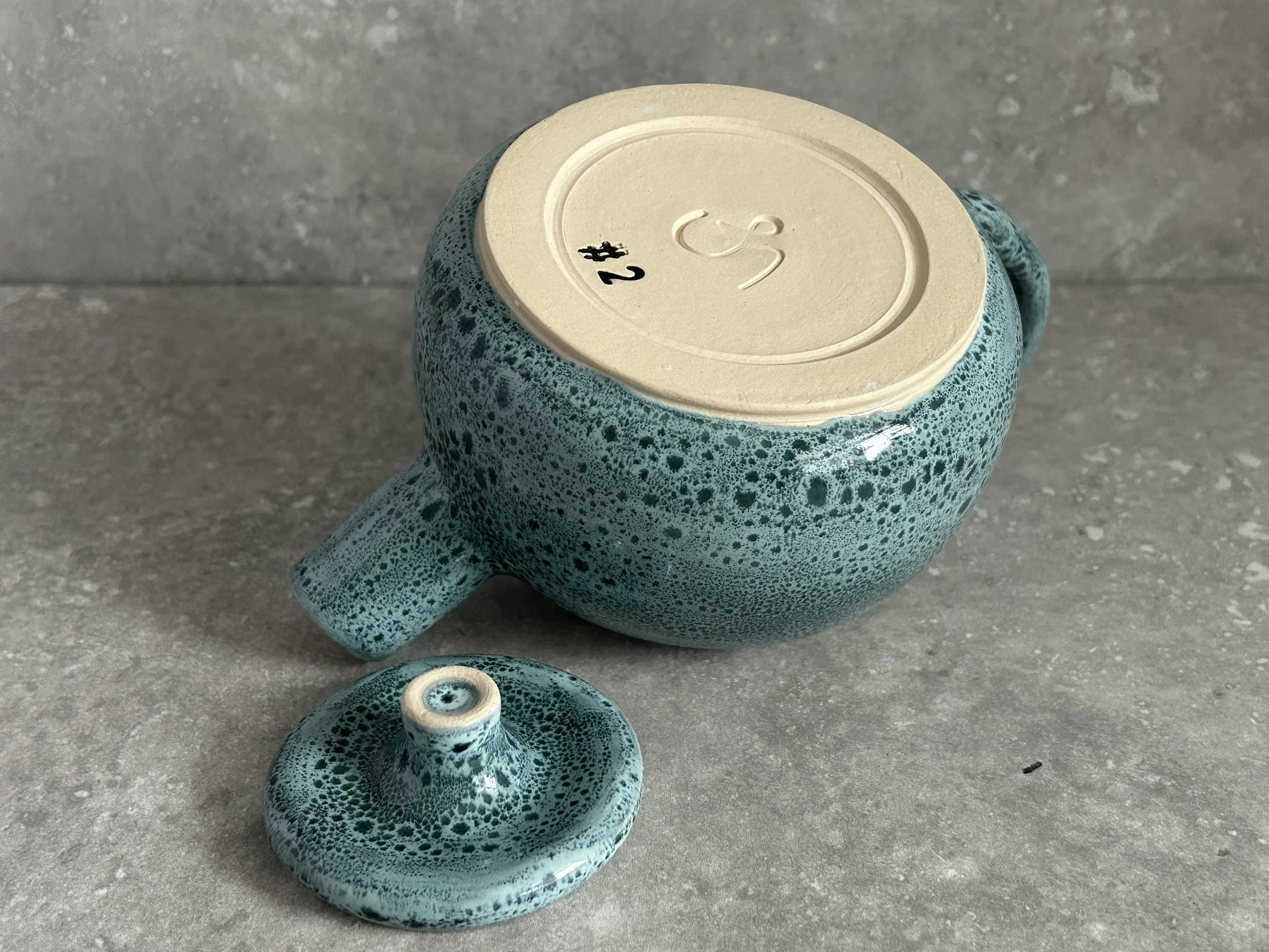 Teapot #2 Rainforest & Snow.jpeg