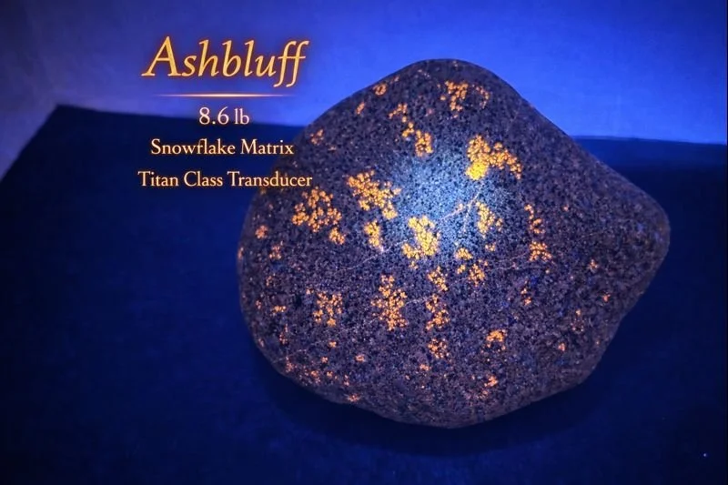 ChatGPT Image Dec 24, 2025, 08_51_24 PM.png