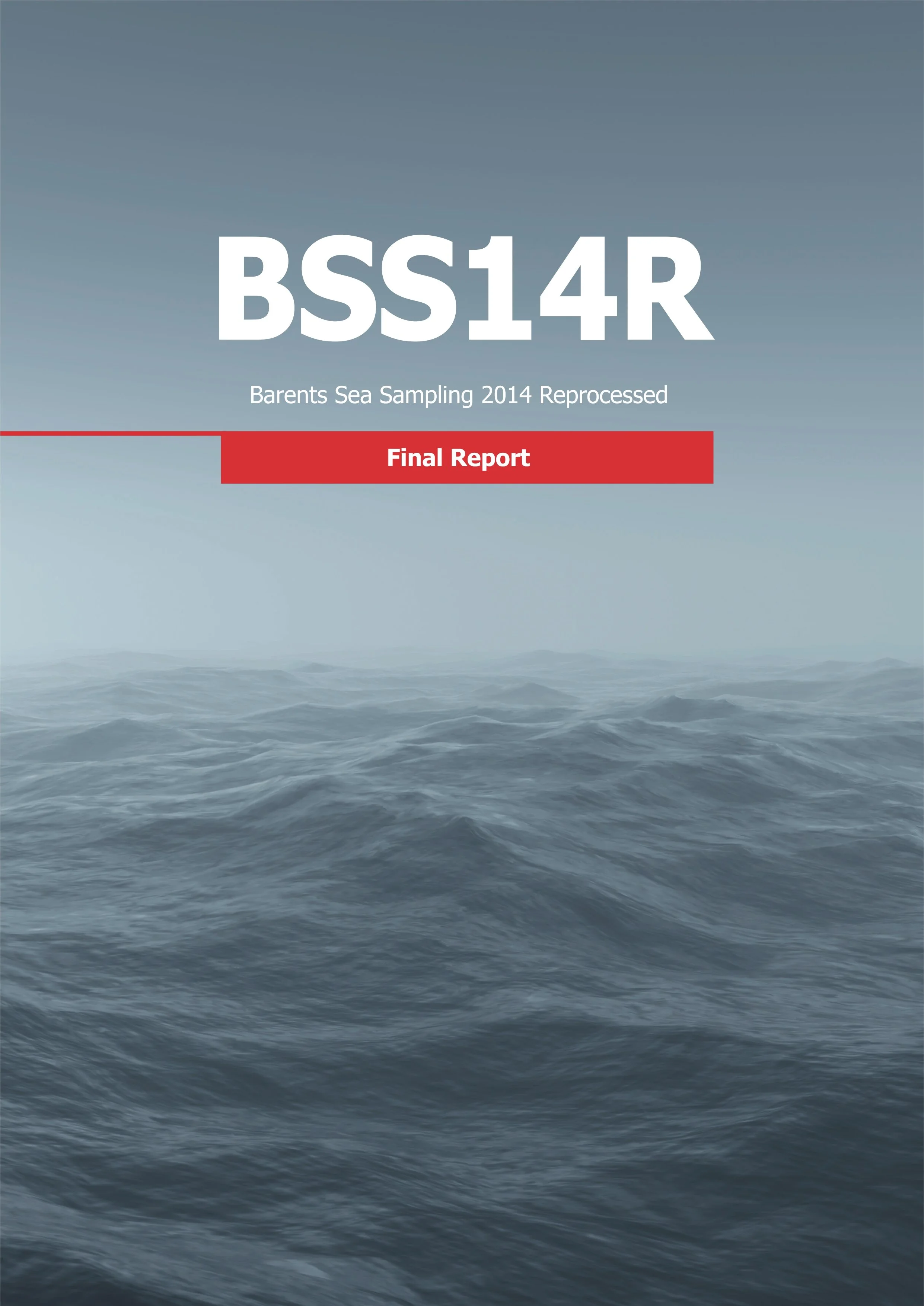 Cover page of a report titled 'BSS14R' with a background of ocean waves and a red banner that says 'Final Report'.