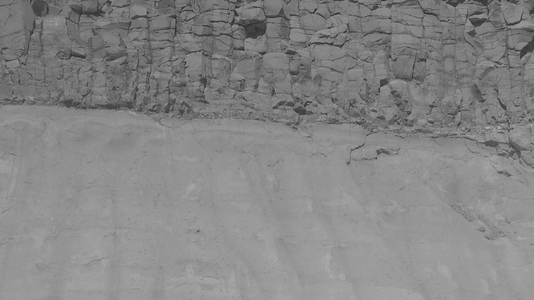 Dry, cracked dirt ground with a stone wall in the background.