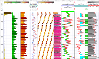 Scientific graph with multiple colored and patterned data sets, including bar graphs, line graphs, and heatmaps, displaying complex data across different variables and scales.