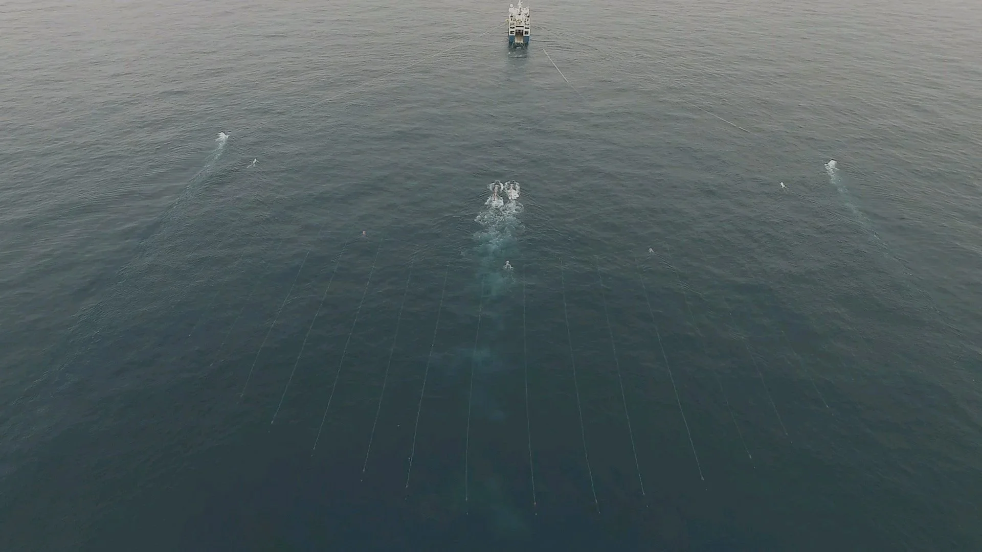 Underwater scene with a robotic vehicle capturing images or data, with several other robots and a large ship visible on the surface.
