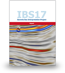 Cover of a report titled 'IBS17' with an abstract, colorful sea interpretation graphic.