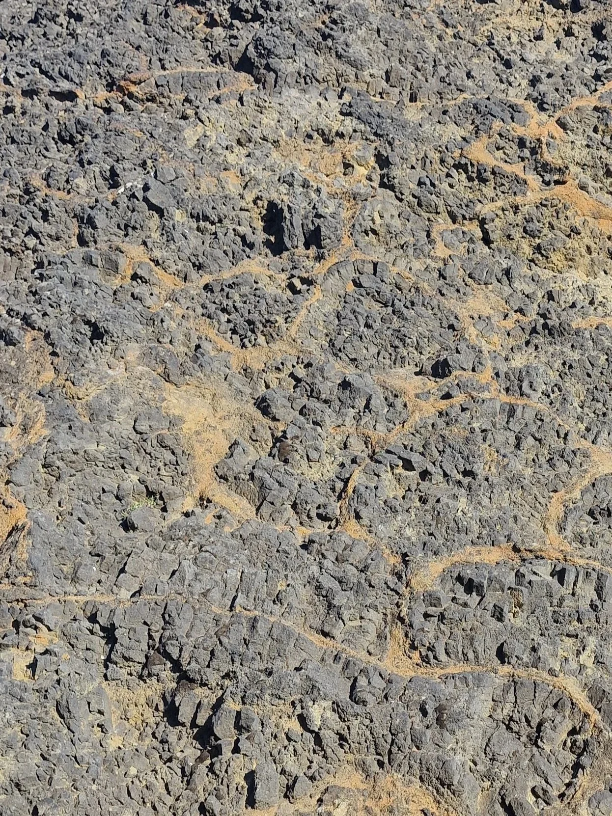 A close-up of cracked, dry desert ground with scattered small rocks and light brown dust.