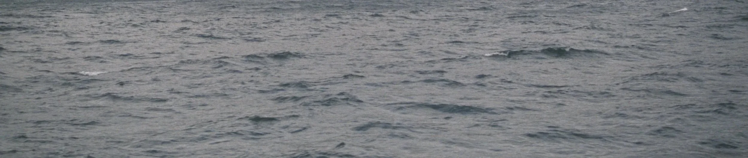 Open ocean water with small gentle waves.