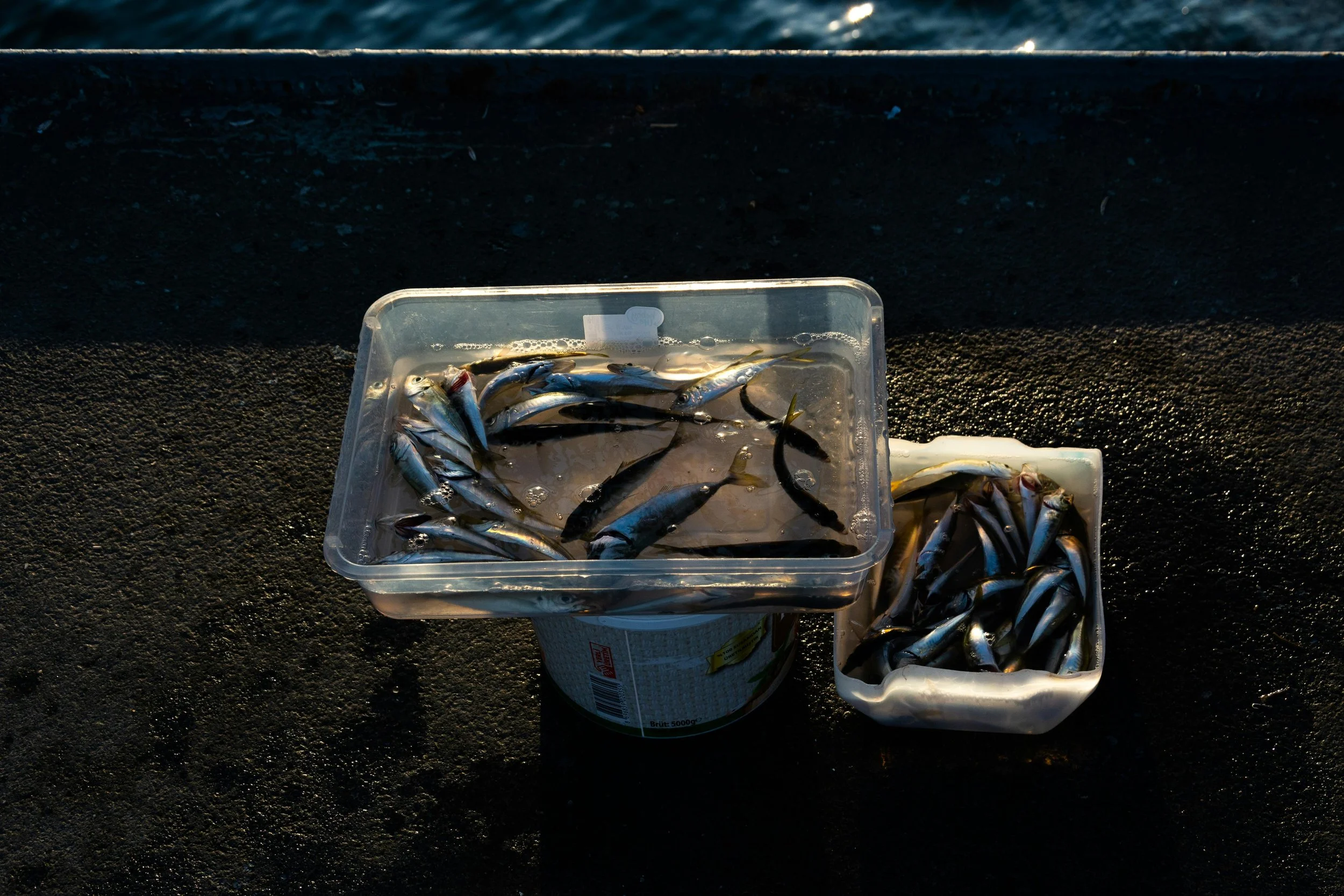 When Your Skin Feels Ugly, Eat Like This (A Note on Sardines)