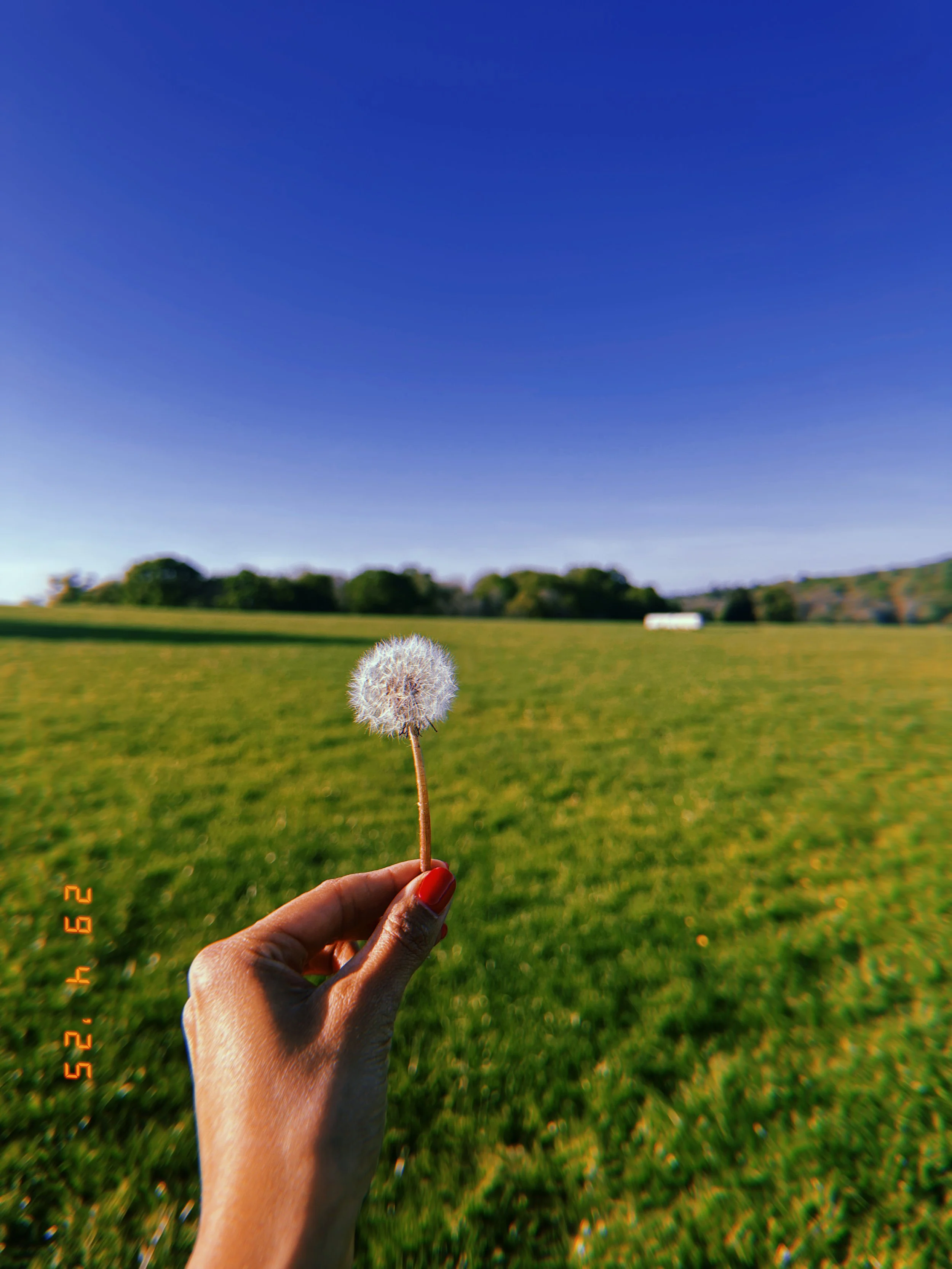 I Went Off Grid for Four Days. This Is What Actually Happened