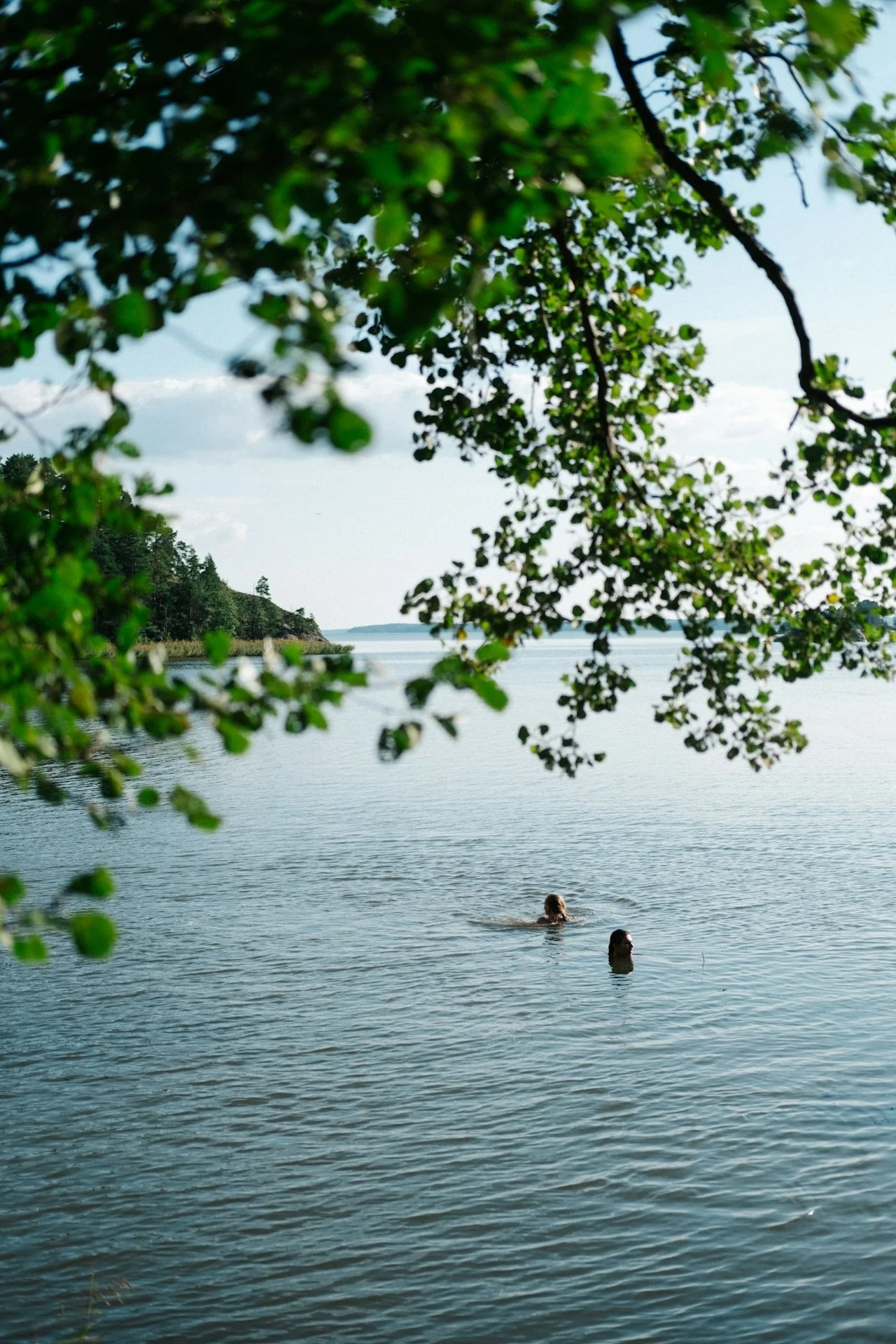 Why Does Losing One Hour Somehow Feels Like Losing Your Entire Personality?