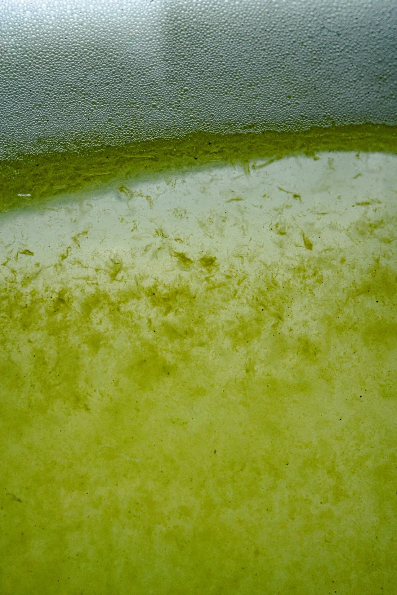 Banana Cream Iced Matcha Latte Recipe