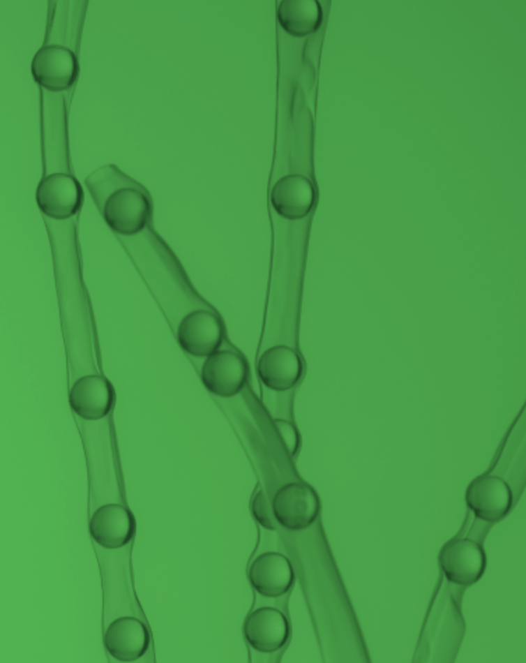 The Invisible Load: Navigating Microplastics and Endocrine Disruptors Without Losing Your Mind