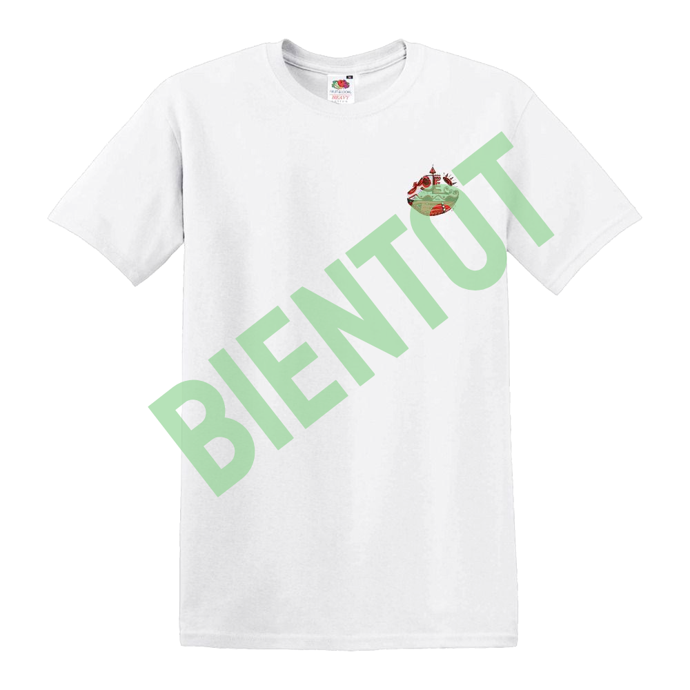 TshirtblancBateau_recto_transbientot (1).png