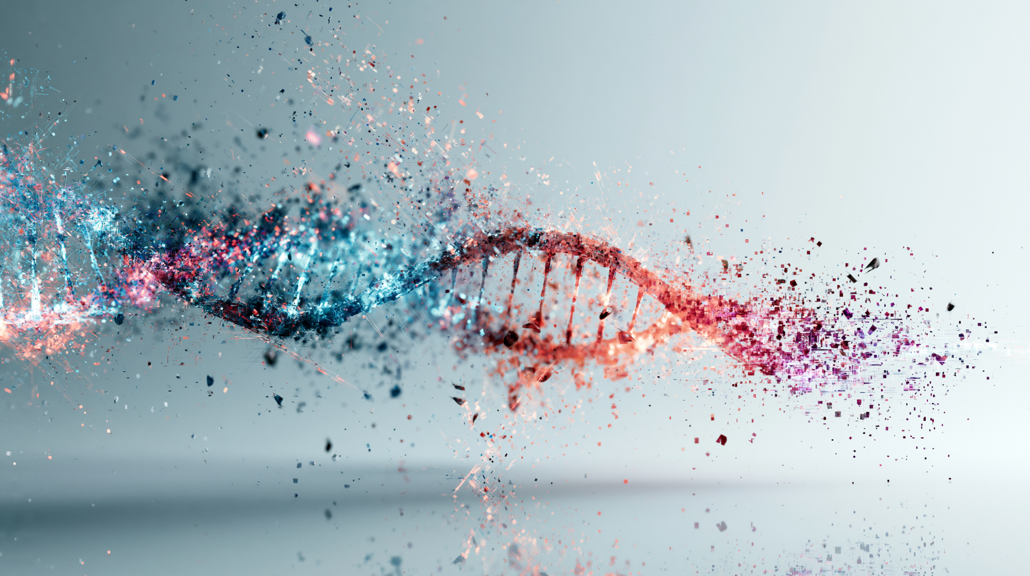 Meet Proto: Where Biology Meets Code