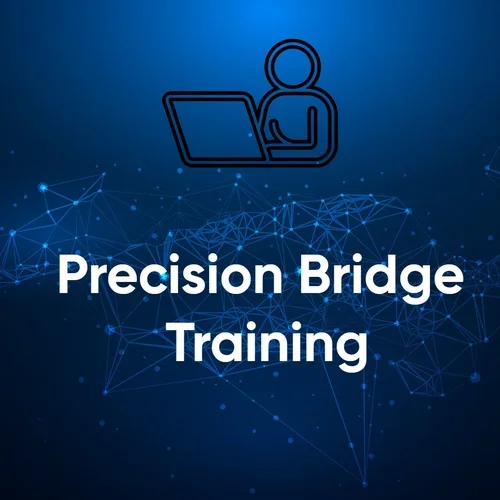 Precision Bridge On-Line Training