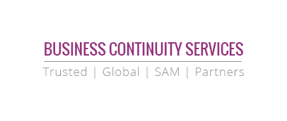 Business Continuity Services - Customer Data Migration Project