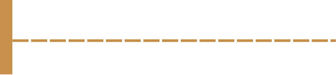 Graphic showing four types of dental crowns with explanations for each: PFM, all-ceramic, resin, and gold.