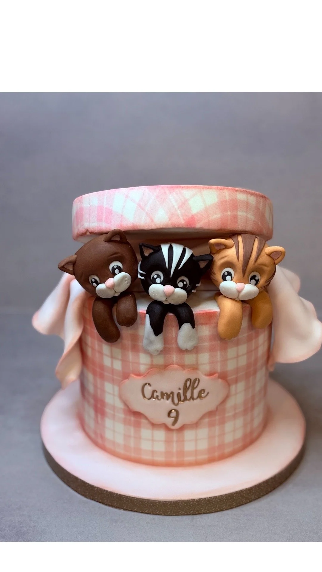 Gâteau d'anniversaire avec trois petits chats en pâte à sucre, décoration rose à motif à carreaux, ruban en tissu blanc, inscription "Camille 9" sur une étiquette