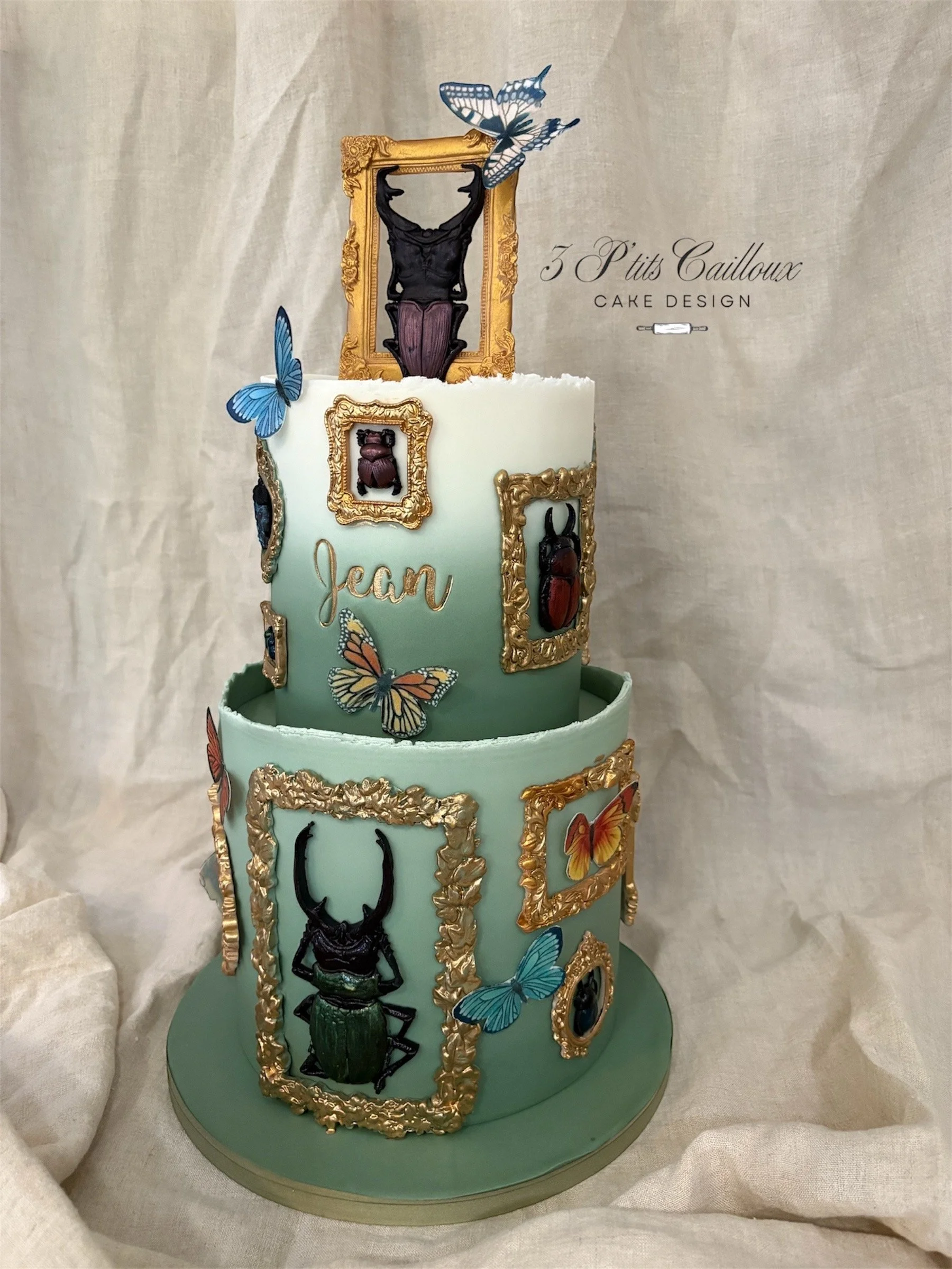 Un gâteau à deux niveaux décoré avec des cadres dorés avec des images de insectes, des papillons colorés, le nom 'Jean' écrit sur la façade et plusieurs papillons en décoration.