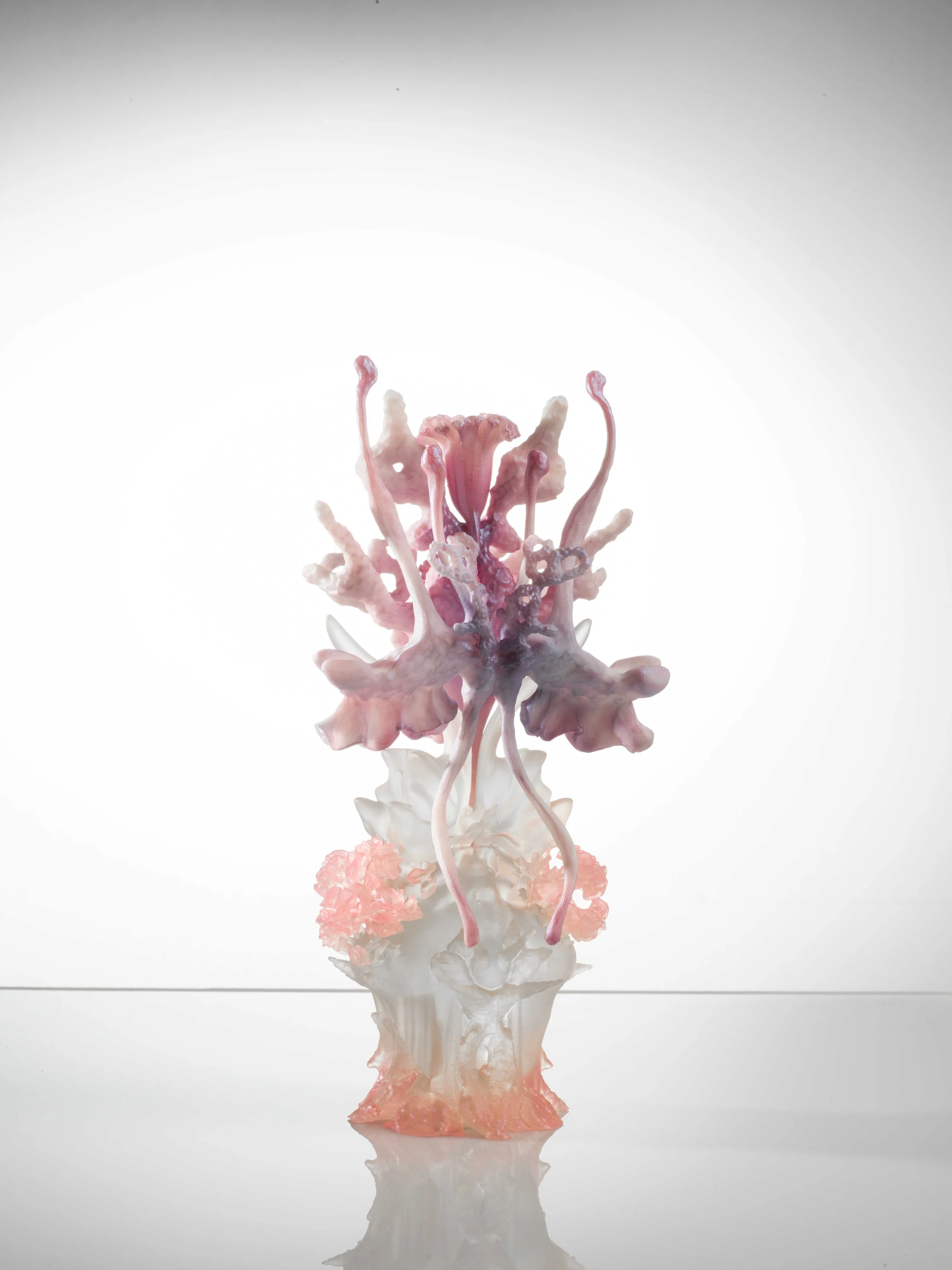 Session Sans Titre45343_edit_e.jpg