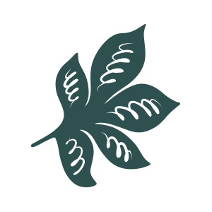 Illustration of dark green leaves with detailed patterns.