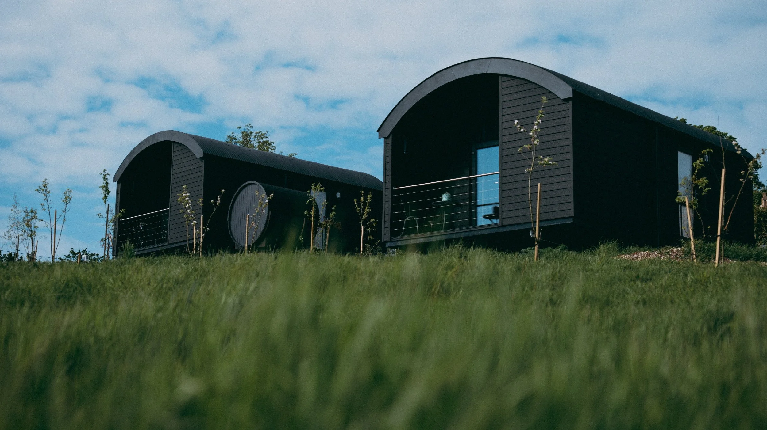 Two modern black cabins with curved roofs situated on a grassy hill, with young trees planted around them and a partly cloudy sky in the background.