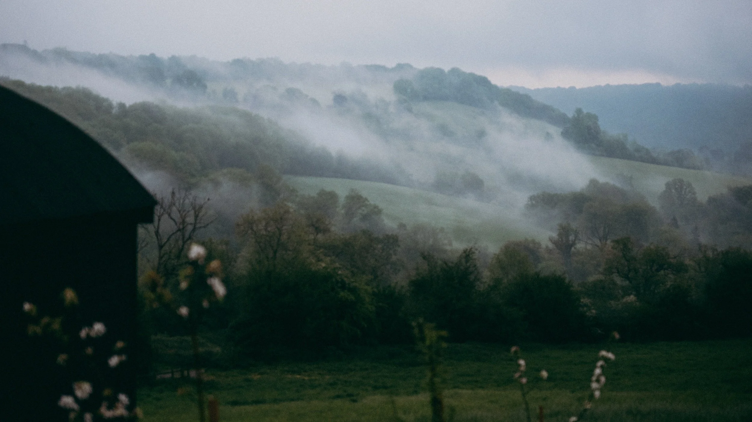 Landscape of rolling hills with trees, covered in mist on a cloudy day.