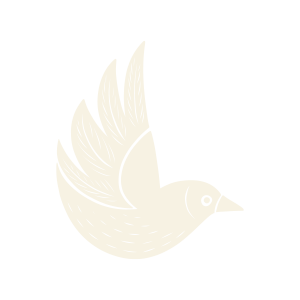 Illustration of a dove with wings spread