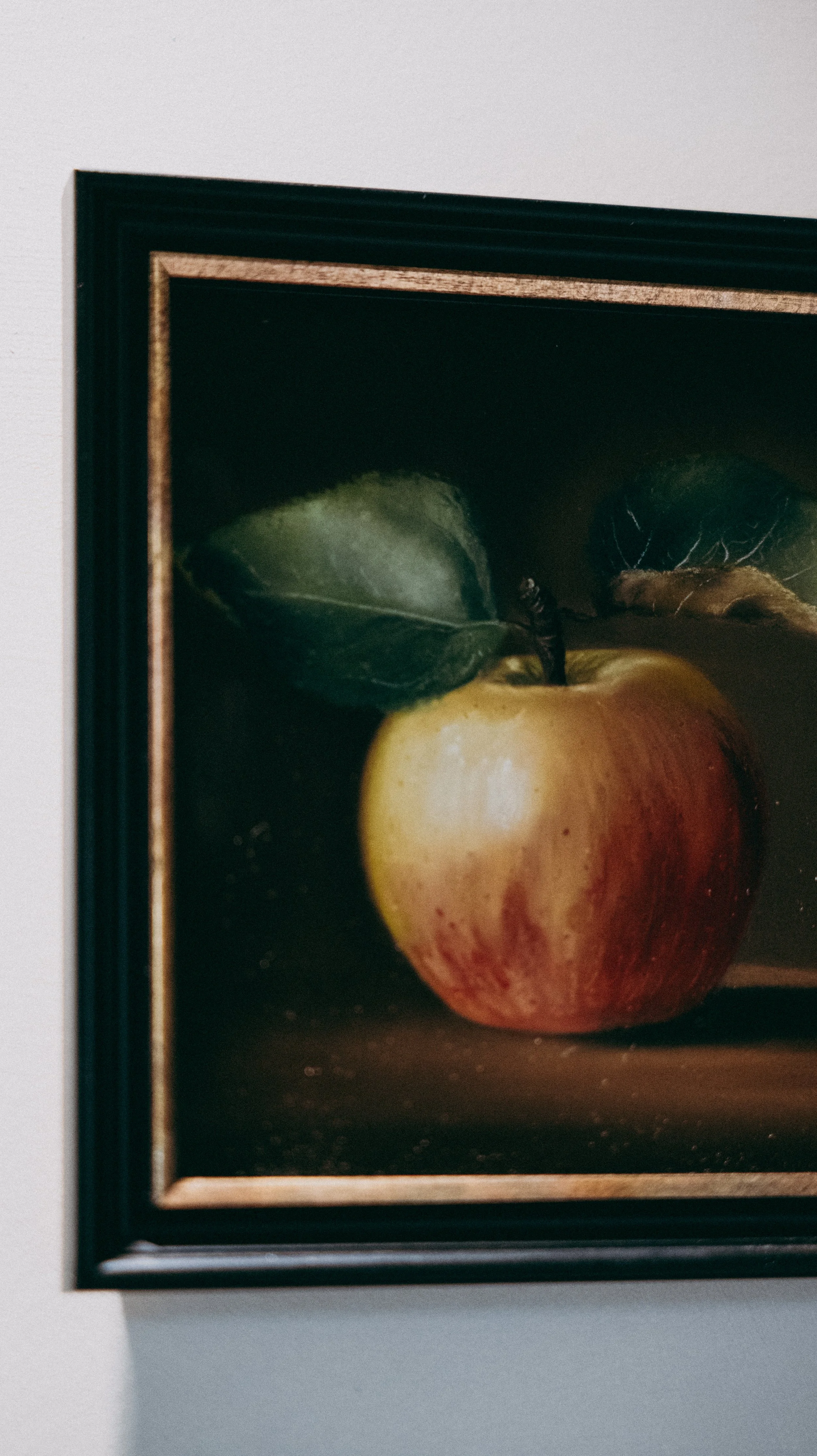 Close-up of framed still life painting of a red and yellow apple with green leaves on a dark background.