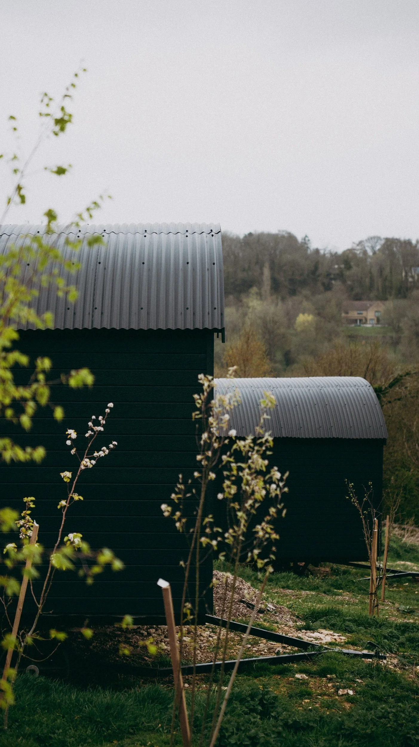 Two quaint cabins located on the hillside an orchard of trees, with a background of a distant countryside.