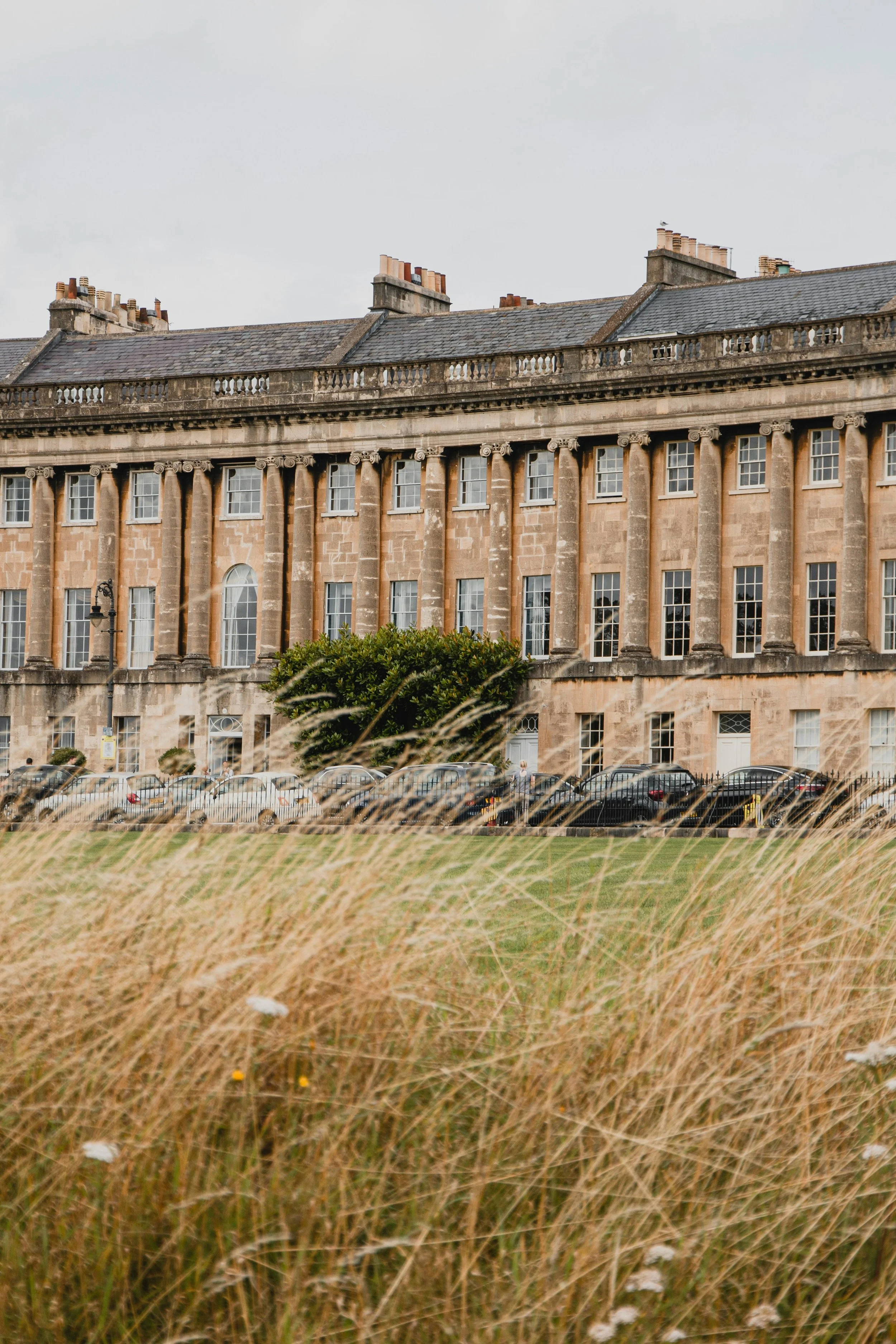 View of the Bath Crescent buildings with grass and wildflowers in the foreground.