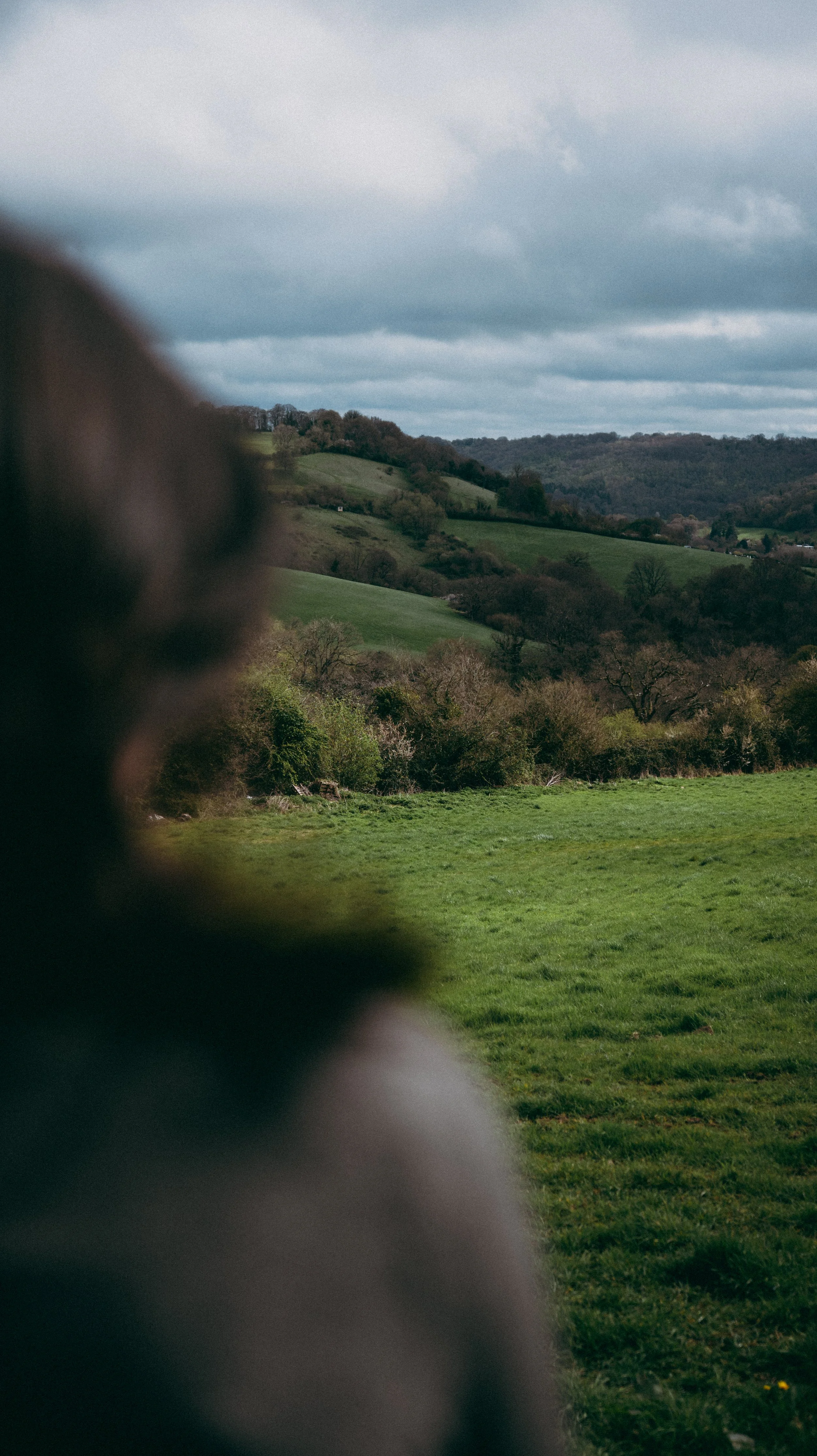 A close-up of a person in the foreground on the left side of the frame, with a view of rolling green hills, trees, and a cloudy sky in the background.